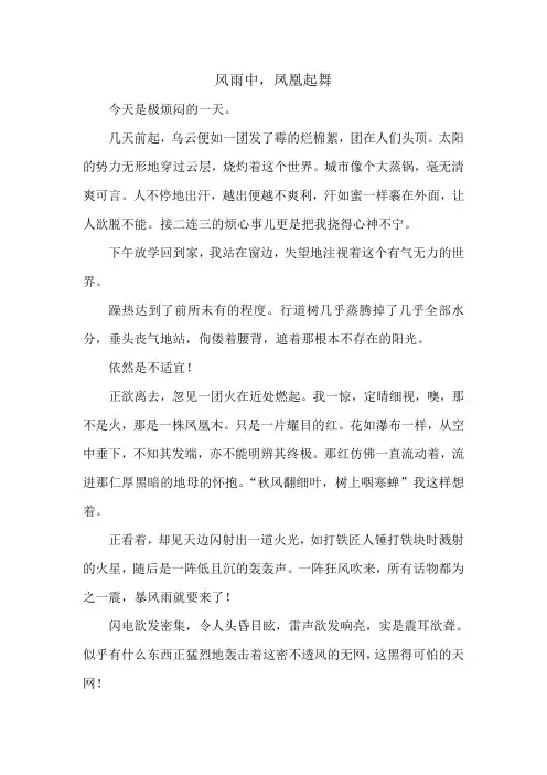 风雨中,凤凰起舞(高中作文)
