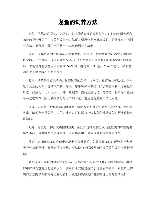 龙鱼的饲养方法