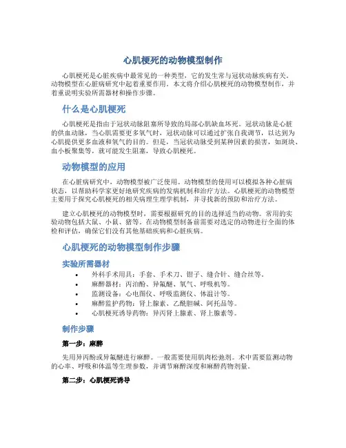 心肌梗死的动物模型制作