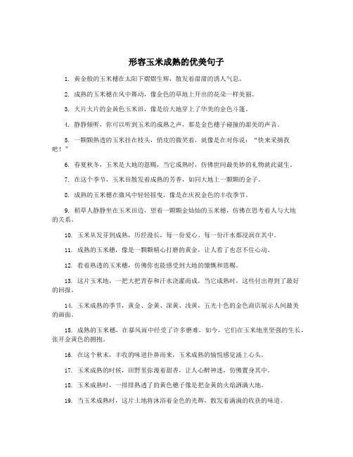 形容玉米成熟的优美句子