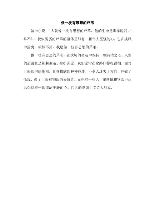做一枝有思想的芦苇