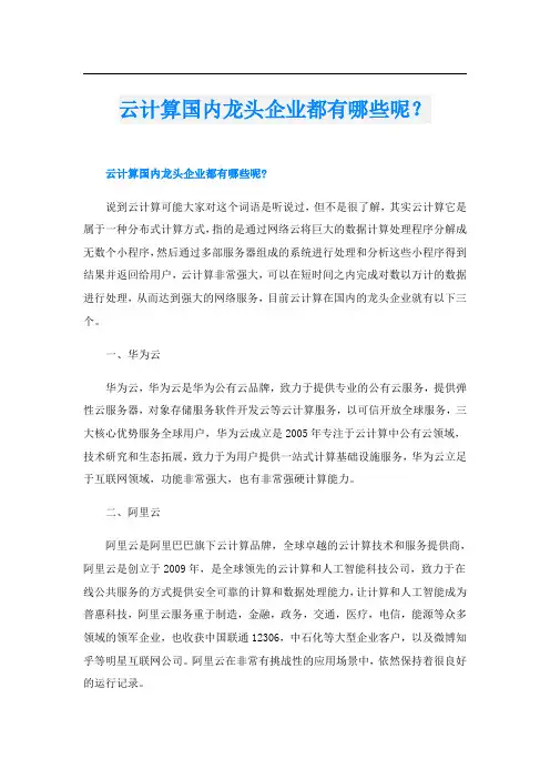 云计算国内龙头企业都有哪些呢？