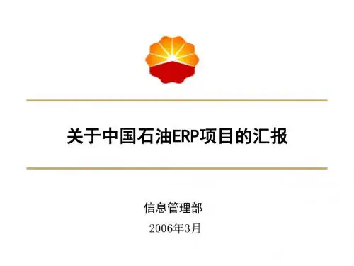 SAP ERP汇报材料解读