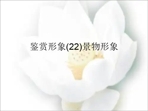 鉴赏形象(22)景物形象