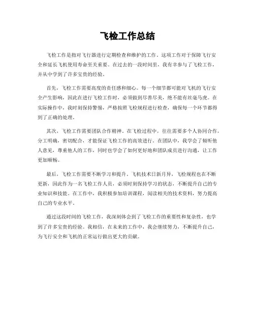 飞检工作总结