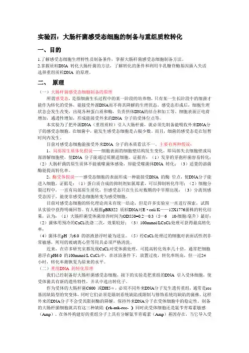3-大肠杆菌感受态细胞的制备及转化