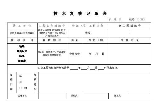 技术复核记录表