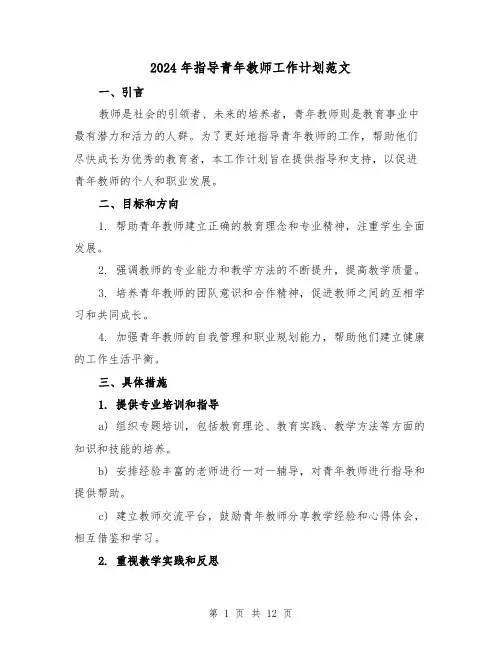 2024年指导青年教师工作计划范文(五篇)