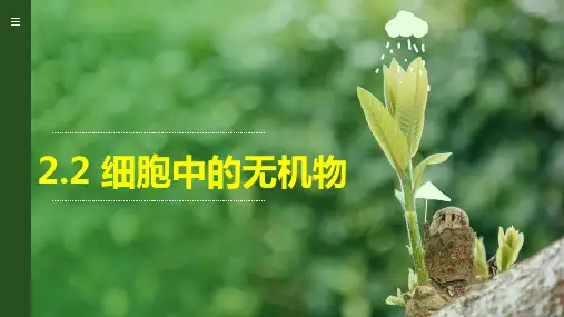 2.2细胞中的无机物   课件 【新教材】人教版(2019)高中生物必修一(共26张PPT)