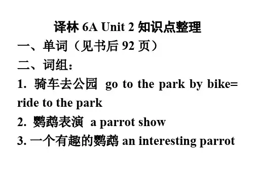 译林版6A-第二单元知识点整理