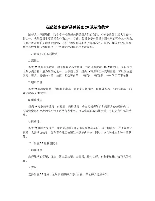超强筋小麦新品种新麦26及栽培技术