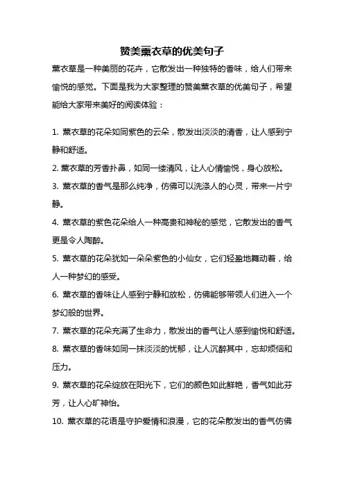 赞美薰衣草的优美句子