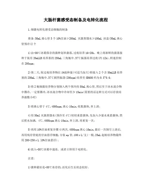 大肠杆菌电击转化流程