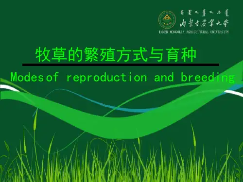 牧草的繁殖方式与育种