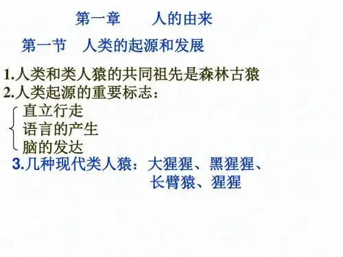 人教版七年级下册生物第二章人体的营养复习课件