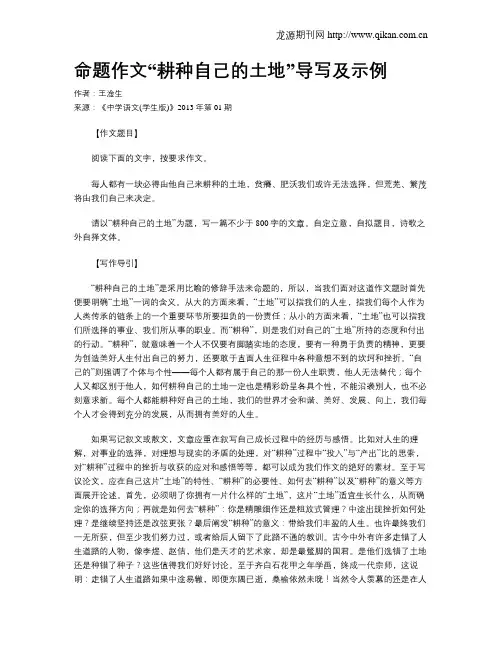命题作文“耕种自己的土地”导写及示例