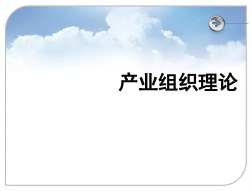 产业组织理论