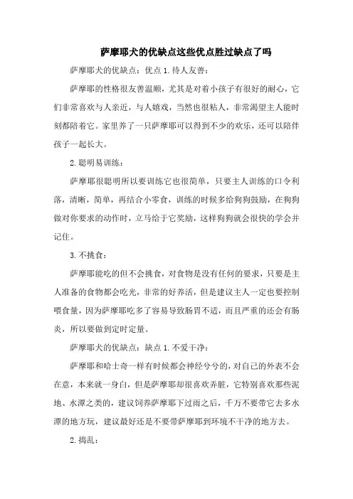 萨摩耶犬的优缺点这些优点胜过缺点了吗