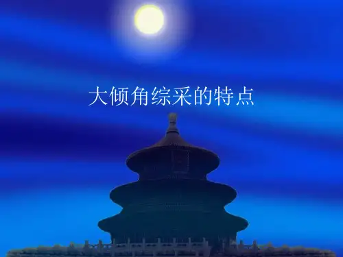 大倾角综采的特点汇总
