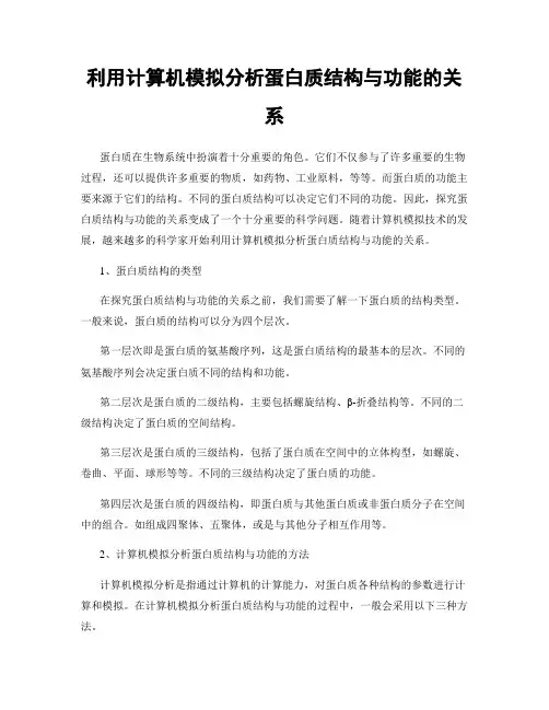 利用计算机模拟分析蛋白质结构与功能的关系