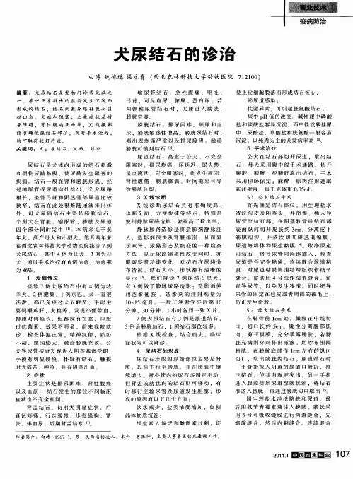犬尿结石的诊治