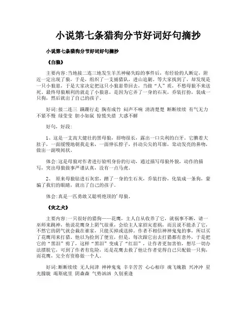 小说第七条猎狗分节好词好句摘抄