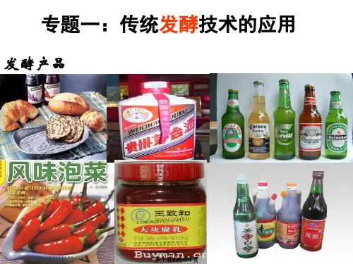 果酒和果醋的制作.PPTPPT课件