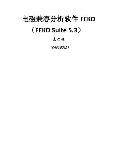 电磁场分析软件FEKO(1)