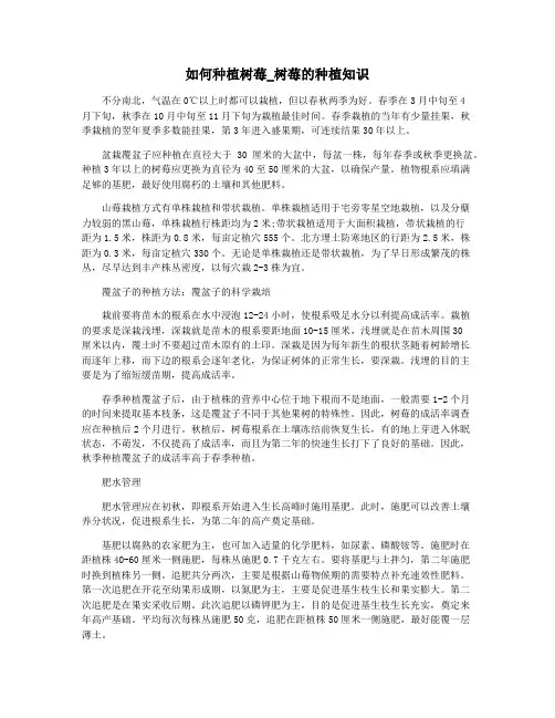 如何种植树莓_树莓的种植知识