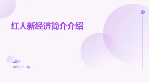 红人新经济简介介绍