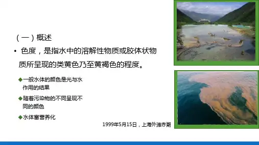 水的感官性状和物理指标测定—水中色度的测定(理化检验技术)