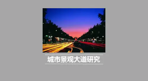 景观大道对比分析