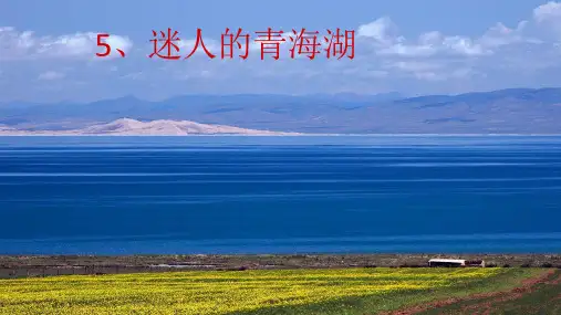 语文A版小学语文六年级下册《5迷人的青海湖》PPT课件 (3)