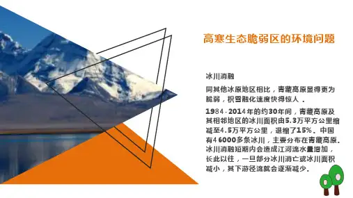 高考地理一轮复习  青藏高寒区