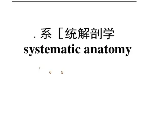 《系统解剖学》PPT课件关节学