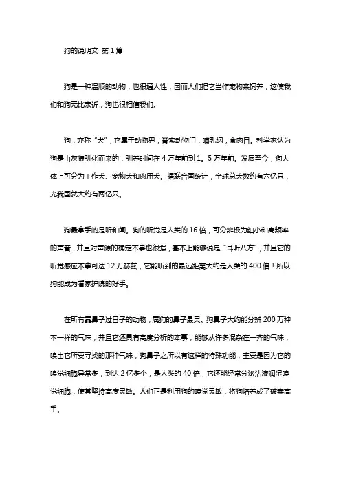 狗的说明文(15篇汇总)