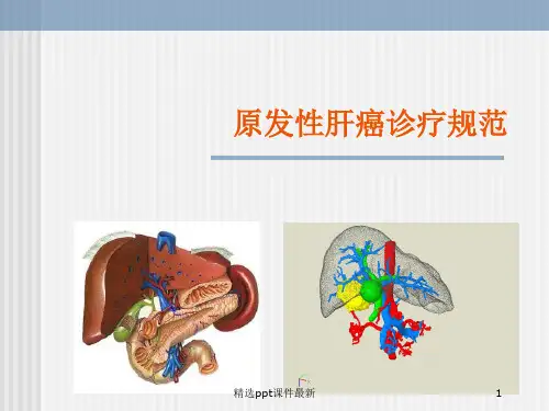 原发性肝癌诊疗规范PPT课件