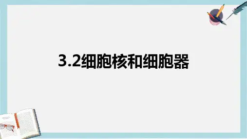 沪科版高中生命科学第一册3.2《细胞核和细胞器》ppt课件1
