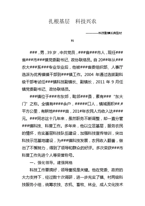 科技副乡长典型材料