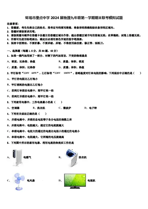 蚌埠市重点中学2024届物理九年级第一学期期末联考模拟试题含解析