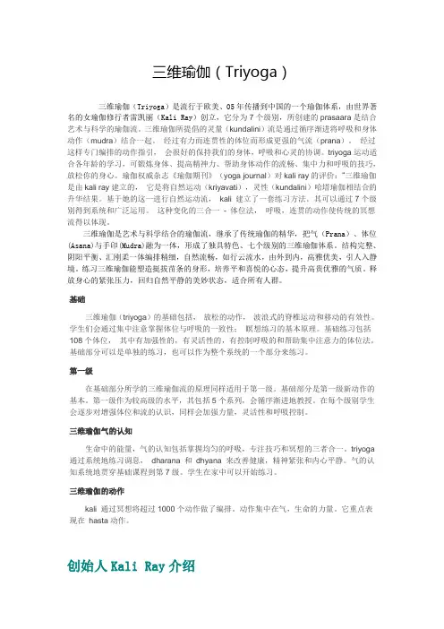三维瑜伽