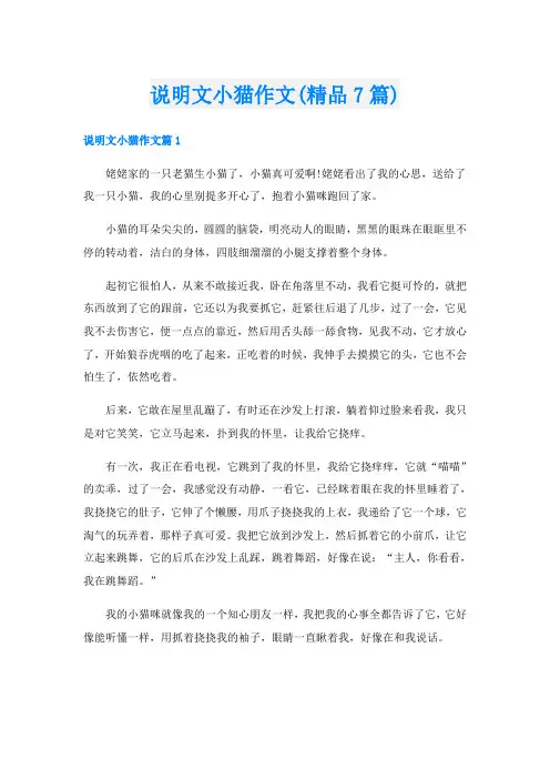 说明文小猫作文(精品7篇)