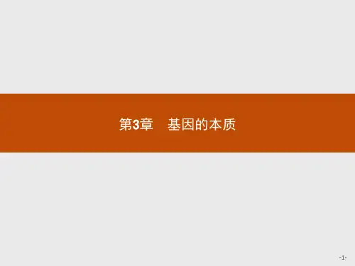 高中生物人教版必修2课件：3.1 DNA是主要的遗传物质