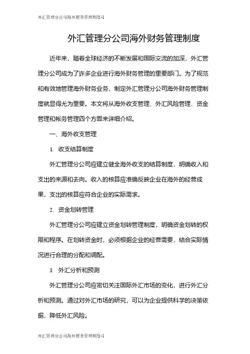 外汇管理分公司海外财务管理制度