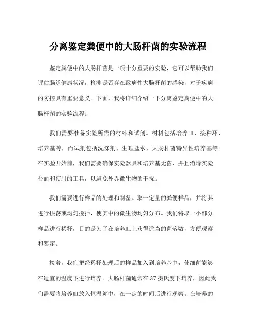 分离鉴定粪便中的大肠杆菌的实验流程