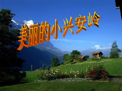 人教三上23课美丽的小兴安岭PPT课件
