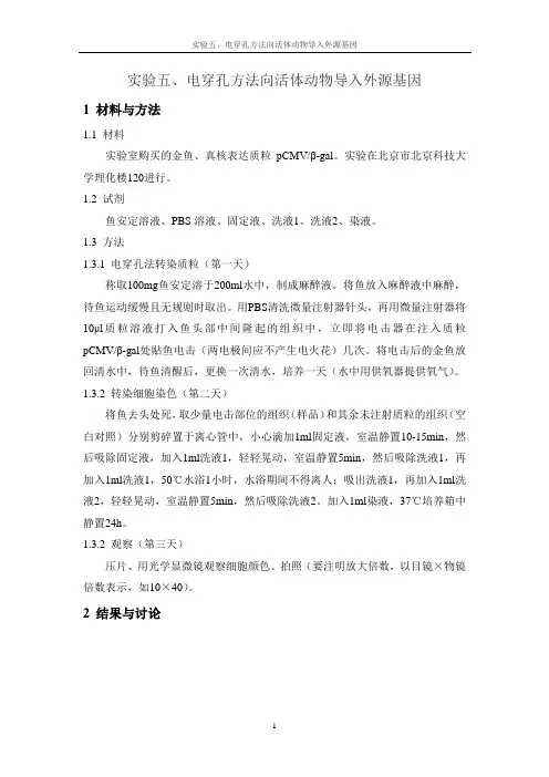 5 电穿孔方法向活体动物导入外源基因