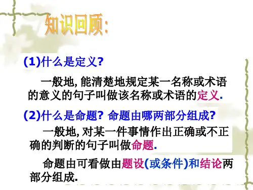 定义与命题PPT课件