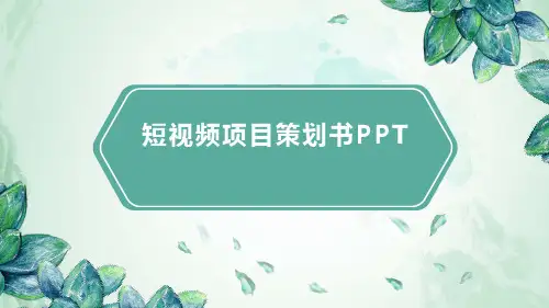 短视频项目策划书PPT