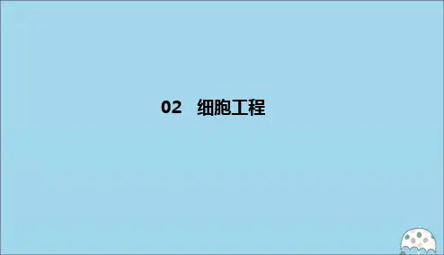 2019_2020学年高中生物专题2细胞工程2.1.1植物细胞工程的基本技术课件新人教版选修3